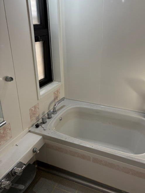 Before image