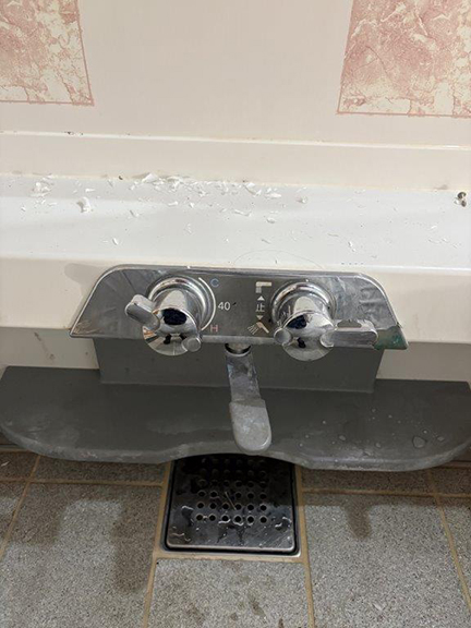 Before image