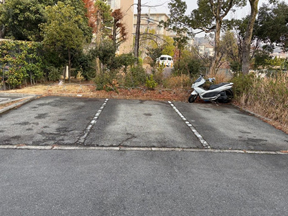 Before image